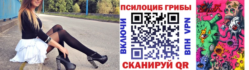 Галлюциногенные грибы Magic Shrooms  цены наркотик  Гусев 