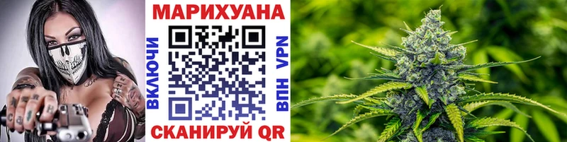 купить наркоту  Гусев  Бошки Шишки SATIVA & INDICA 